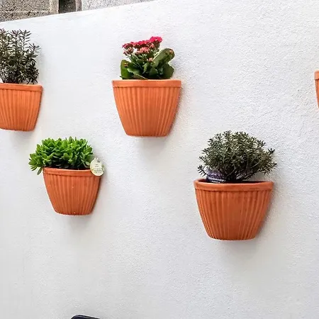 Apartment A Casa Na Foz ! West Is The ! Foz do Arelho