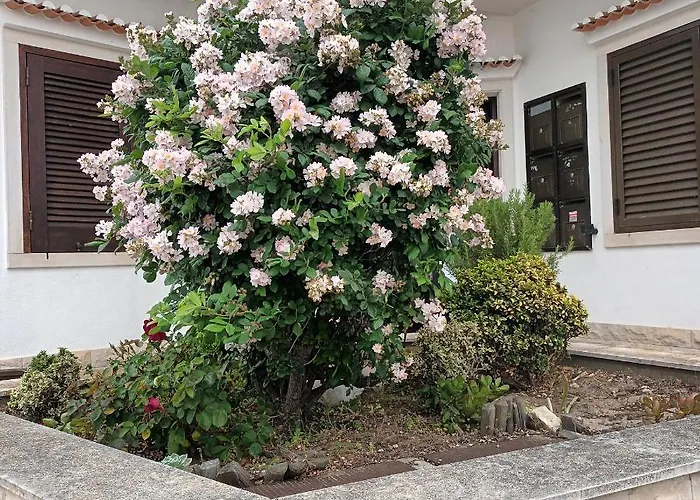 Apartman A Casa Na Foz - West Is The ! *