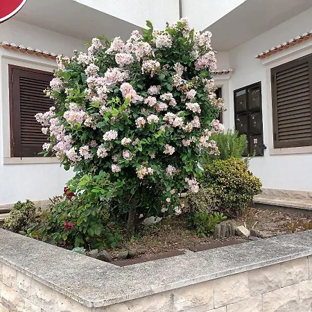 アパート A Casa Na Foz ! West Is The ! *